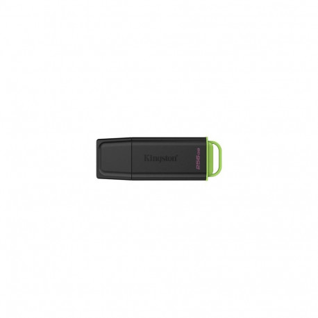 Kingston Technology DataTraveler 256GB Portable USB 3.2 Gen 1 Exodia Black/Green