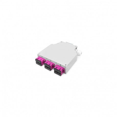 Digitus Fiber optic DIN rail box, MM-OM4, assembled, with SC adapter and pigtail