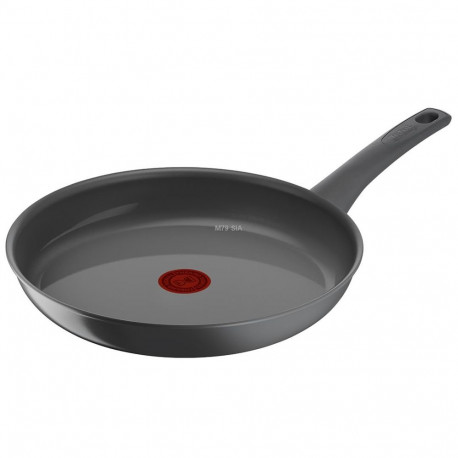 TEFAL pann C4260643 Renewal läbimõõduga 28cm induktsioonile sobiv fikseeritud käepidemega, hall
