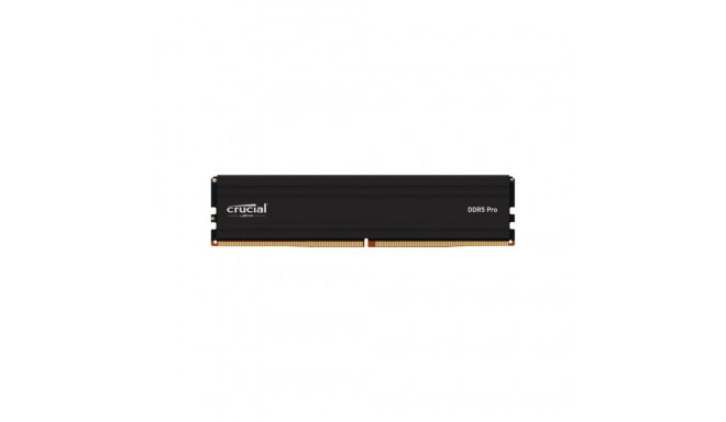 RAM Module - Crucial Pro DDR5 48GB 5600MHz ECC Memory Module Black