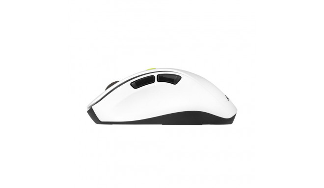 Computer Mouse - ASUS MD105 /VT-GN Wireless Bluetooth 2400 DPI Right-Hand Black