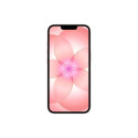 iPhone 17e 256GB Soft Pink