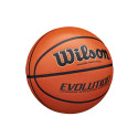 Evolution korvpall