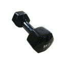 vinüül hantel LS2002 5kg
