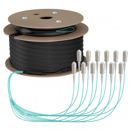 "EFB Trunkkabel U-DQ(ZN)BH OM3 12G (1x12) SC-SC 170m Dca LSZH"