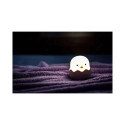 Night lamp BD-NL-01 Chicken