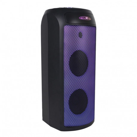 "Reflexion PSX30BT Party Lautsprecher BT 240W schwarz"