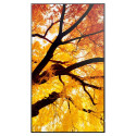 "Sharp MultiSync M752 Digital Signage Display 189,3 cm 75 Zoll"