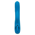 CalExotics Azure Flutter G