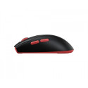 Forge GM340 W Black