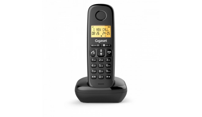 Cordless phone Basic 100