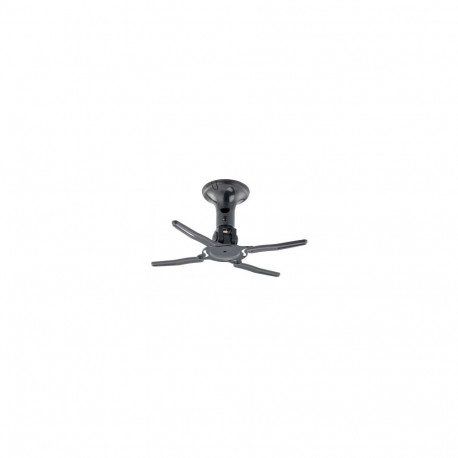 NEWSTAR PROJECTOR CEILING MOUNT (HEIGHT: 19 CM) 10 KG BLACK