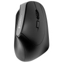 Cherry Mouse MW 4500 (JW-4500) (JW4500)