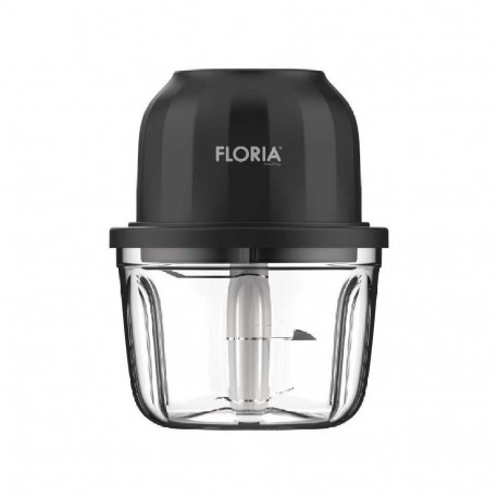 Floria ZLN2655