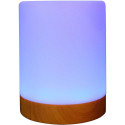 Realpower Ambiente Light 200 RGB