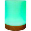 Realpower Ambiente Light 200 RGB