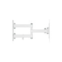 Kivi MOTION-223W