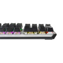 Aula F2066-II Real Mechanical Keyboard (EN / RU)