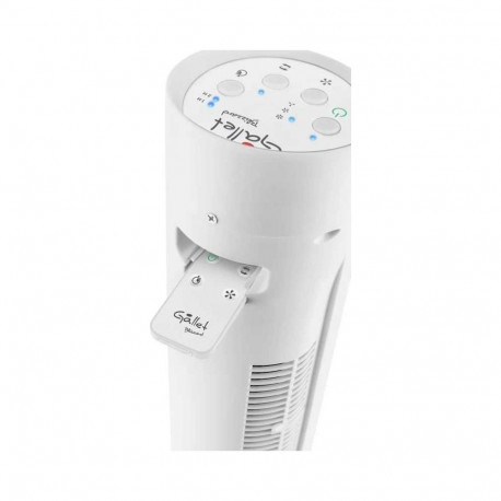 GALLET GALVEN82T White