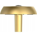 Ezviz DP2C Gold