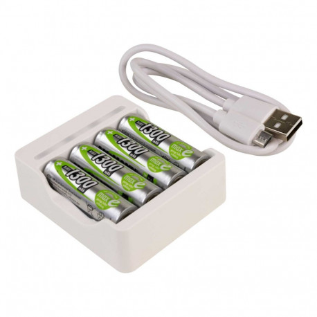 Ansmann Basic IV + 4 × AA 1300 mAh