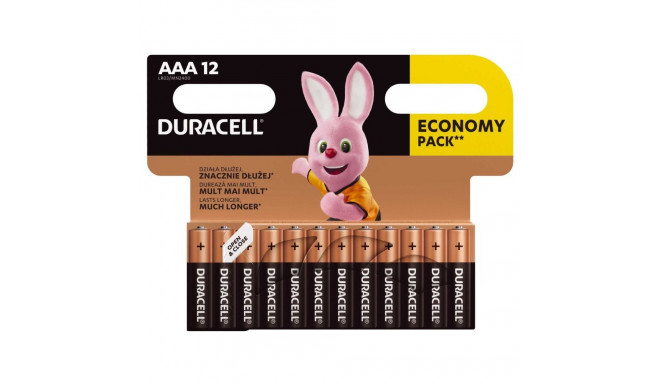Duracell MN2400 Basic AAA (LR03) x12