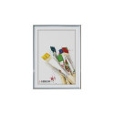 Frame - Gedeon GED 70x100 8mm Plastic Display Frame Silver
