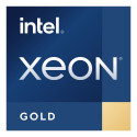 "Intel S4677 XEON GOLD 5520+ TRAY"