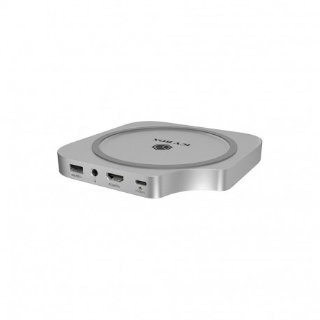 "Raidsonic ICY BOX Club Dock 100 Dockingstation für Mac Mini® (IB-DK100)"