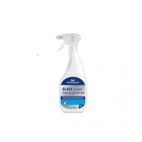 Klaasipuhastusvahend MR.PROPER PGP, 750ml