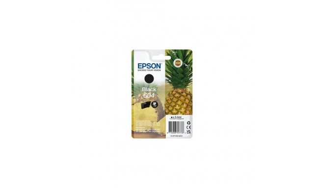 Epson Singlepack Black 604 Ink