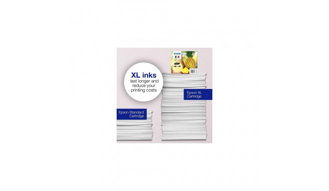 Epson Singlepack Black 604 Ink