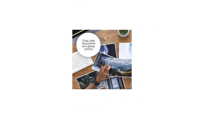 Epson Singlepack Magenta 503XL Ink