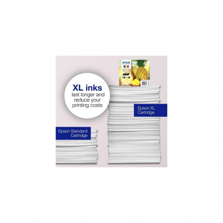Epson 604 Pineapple Singlepack Black Ink