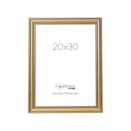 Focus Tango Classic Gold 20x30