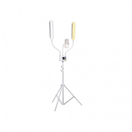 NEEWER BH40B Esthetician Light Kit