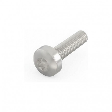 SCHROFF Torxiga läätsepeaga kruvi TORX-LINSKOSCHR 2,5X10 100tk