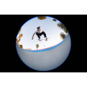Canon RF 7-14mm f/2.8-3.5 L Fisheye STM objektiiv