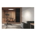 NEOMOUNTS Monitor/TV Mobile Floorstand 32inch-75inch 45kg VESA600x400 Height Adjust 103-153cm public