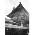 Kodak Snapic A1, hall