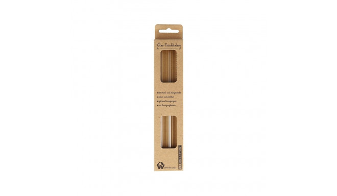 3-PIECE DRINKING STRAW SET L20CM GLASS