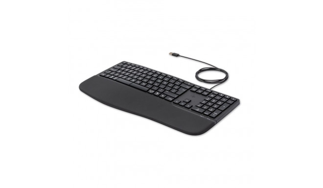 Keyboard - HP 480 Comfort Wired Full-Size with Numeric Keypad, USB