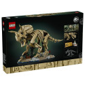 LEGO 77985 J.W. täpsustamisel (8.4.)