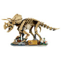 LEGO 77985 J.W. täpsustamisel (8.4.)
