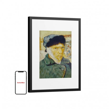 Digital Photo Frame - SwitchBot AI Art Frame 13.3" 1200×1600 E Ink Spectra™ 6 Color Display Black