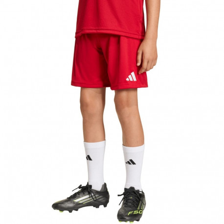 Adidas laste lühikesed püksid Entrada 26 JZ6528 152cm, punased