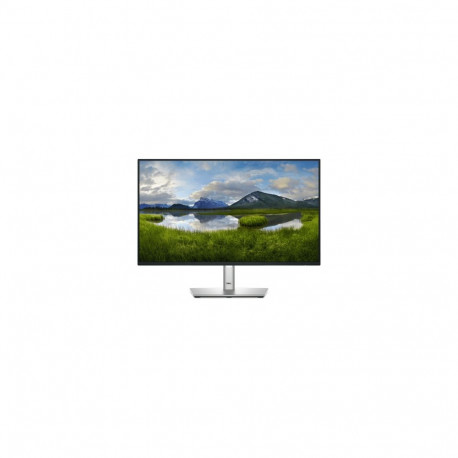 DELL P2425H 23,8'' FHD Monitor