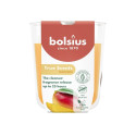 CANDLE SCENTED MANGO H8CMD7.3CM