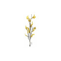 BRANCH ARTIFICIAL SPRING YELLOW H71CM