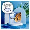 Epson tindipatroon T071240, tsüaan